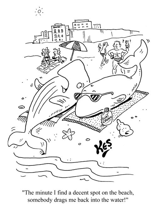 "The minute I find a decent spot on the beach, somebody drags me back onto the water!"