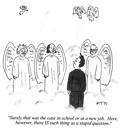 "Surely that was the case in school or at a new job. Here, however, there is such a thing as a stupid question."