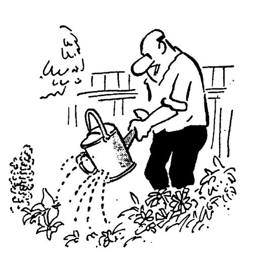 Old watering can