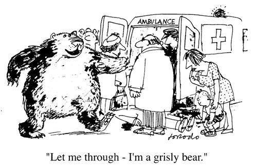 Let me through, I'm a grisly bear