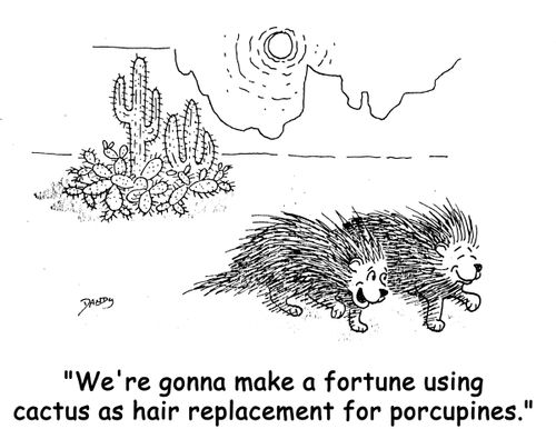 'We're gonna make a fortune using cactus as hair replacement for porcupines.'
