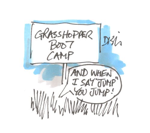 Grasshopper Boot Camp: 'When I say 'jump' you jump!'