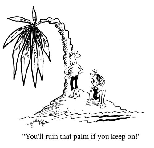 'You'll ruin that palm if you keep on!'