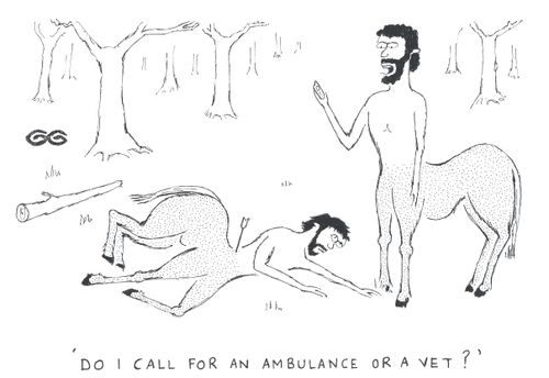 'Do I call for an ambulance or a vet ?'