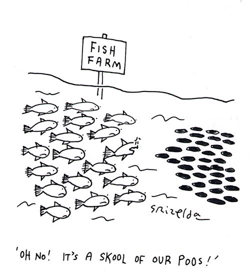 Fish Farm - 'Oh no! It's a skool of our poos!'