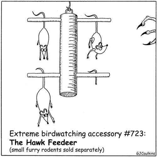 Extreme birdwatching accessory - the Hawk Feeder.