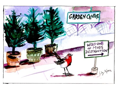 Garden Centre - Weapons of Moss Destruction.