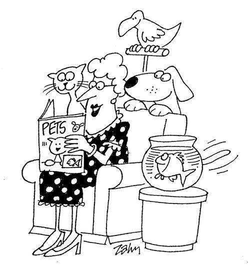 Pets.