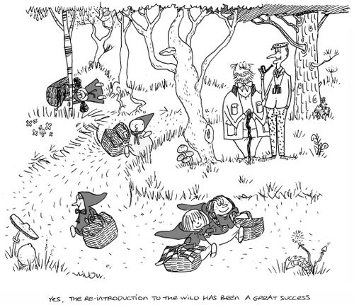 'Yes, the re-introduction to the wild has been a great success.'