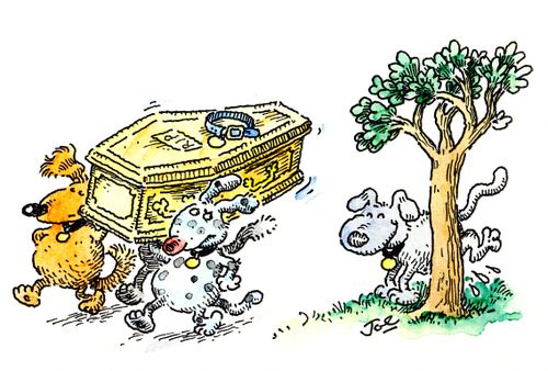 Dog Funerals.