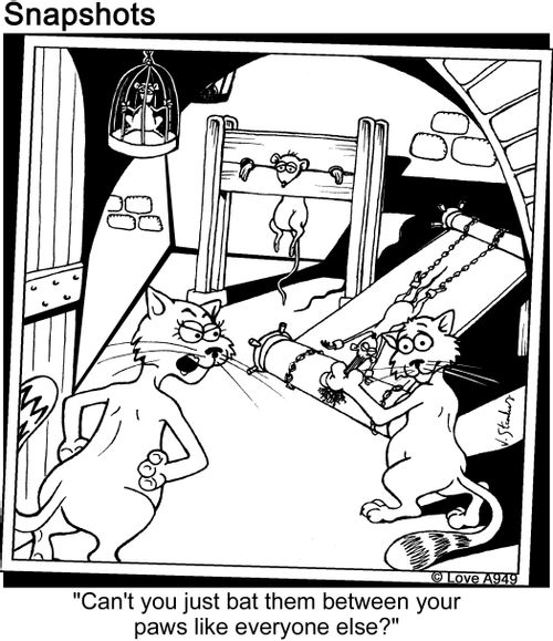 'Can't you just bat them between your paws like everyone else?'