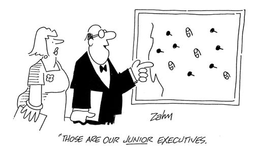 'Those are our junior executives.' 