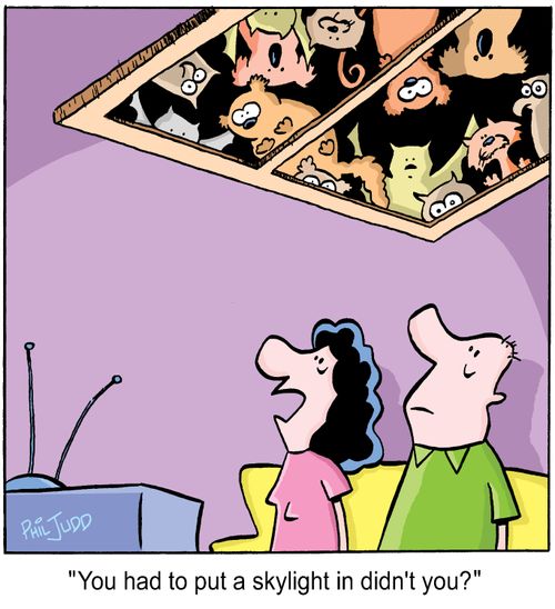 'You had to put a skylight in didn't you?'