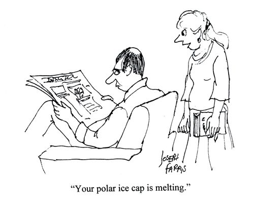 'Your polar ice cap is melting.'