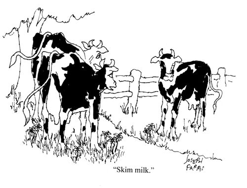 'Skim milk.'