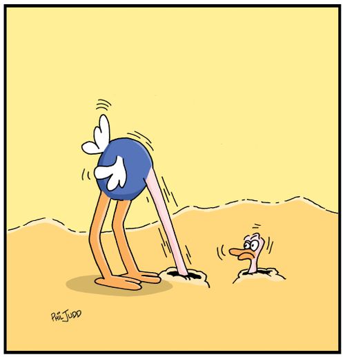 Ostrich with head in the ground. Head coming out of another hole looking back it itself.
