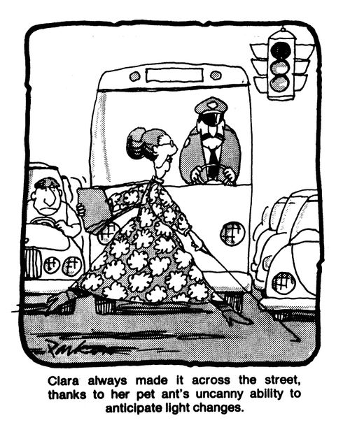 Clara always made it across the street, thanks to her pet ant's uncanny ability to anticipate light changes.