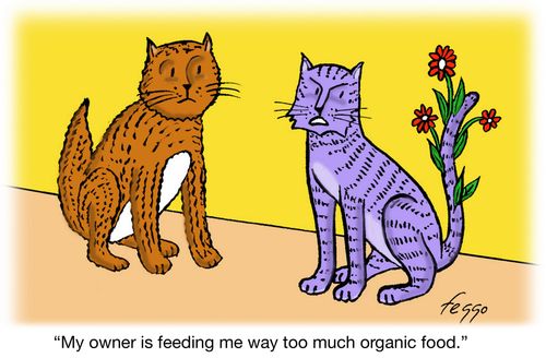 'My owner is feeding me way too much organic food.'
