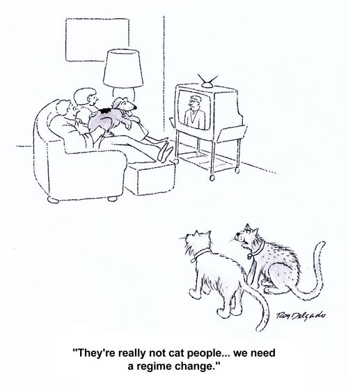 'They're really not cat people...we need a regime change.'