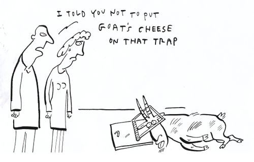 'I told you not to put goat's cheese on that trap.'