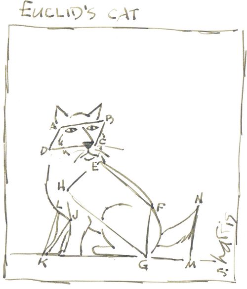 'Euclid's Cat'