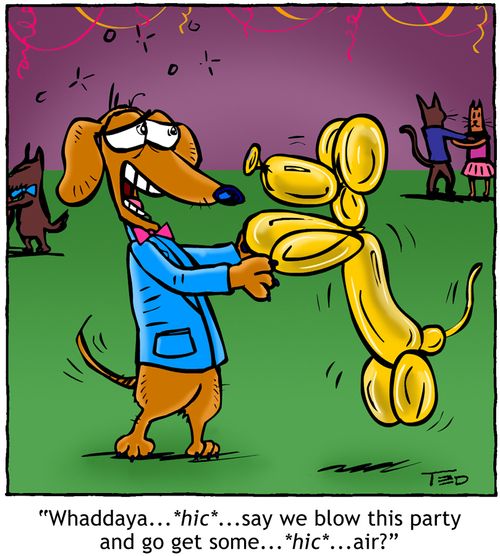 Let's get some air! (drunk dog dance party)