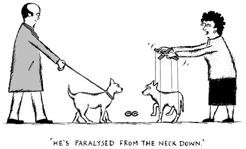 'He's paralysed from the neck down.'
