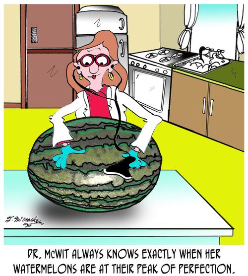 Dr. McWit's always know's exactly when her watermelon's are at their peak of perfection.