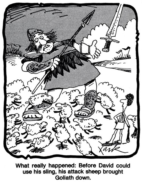 'What really happened: Before David could use his sling, his attack sheep brought Goliath down.'