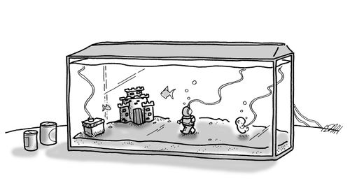 Baby in fish tank