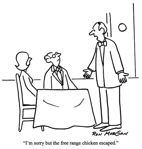 'I'm sorry, but the free range chicken escaped.'
