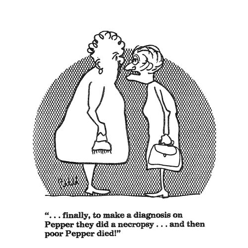 '...finally, to make a diagnosis on Pepper they did a necropsy...