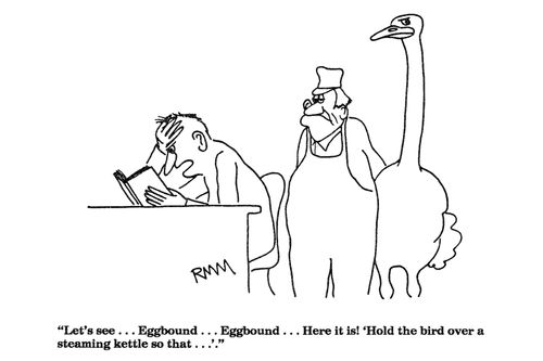 'Let's see...Eggbound...Eggbound...Here it is!...