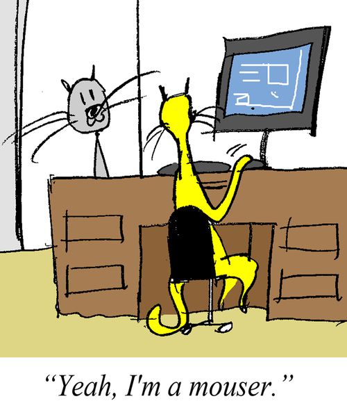 'Yeah, I'm a mouser.'