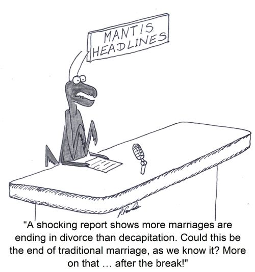 'A shocking report shows more marriages are ending in divorce than decapitation. Could this be the end of traditional marriage, as we know it? More on that. . .after the break!'
