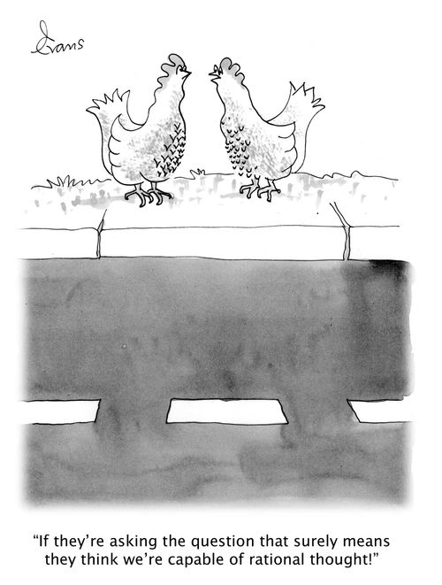 'If they're asking the question that surely means they think we're capable of rational thought!'