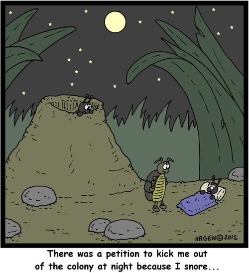 'There was a petition to kick me out of the colony at night because I snore...'