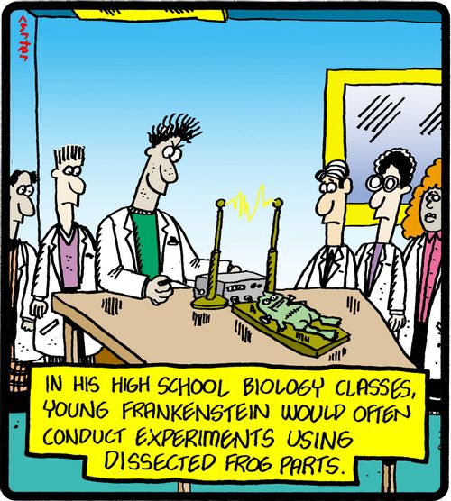 In his high school biology class young Frankenstein would often conduct experiments using dissected frog parts.