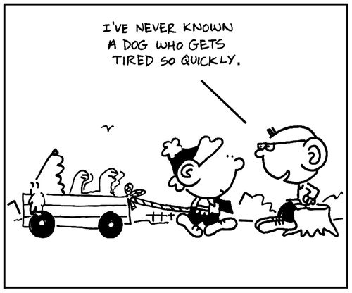 'I've never known a dog who gets tired so quickly.'