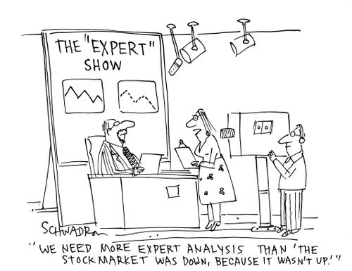'We need more expert analysis than 'the stock market was down, because it wasn't up.''