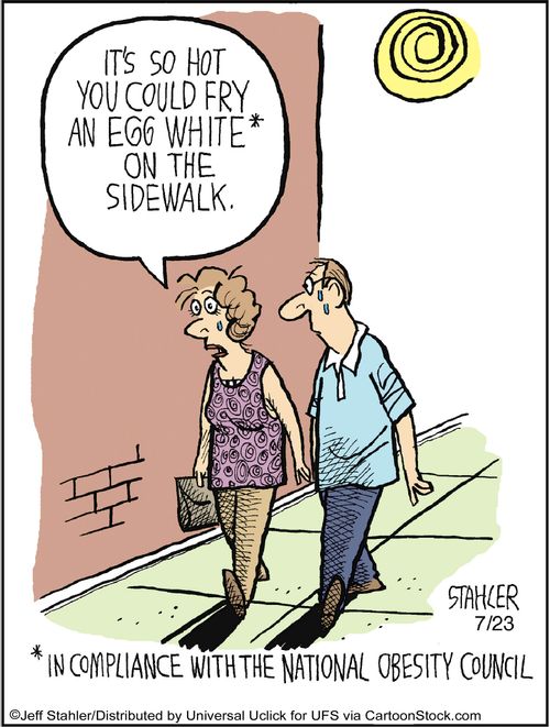 'It's so hot you could fry an egg white on the sidewalk.'