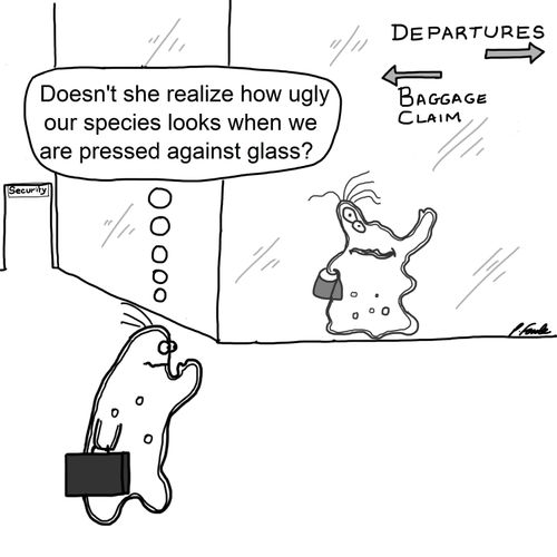 'Doesn't she realize how ugly our species looks when we are pressed against glass?'