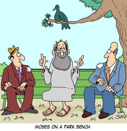 Moses on a park bench