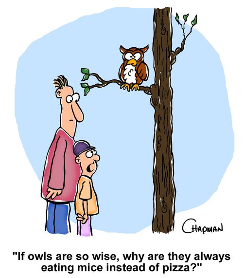 'If owls are so wise, why are they always eating mice instead of pizza?'