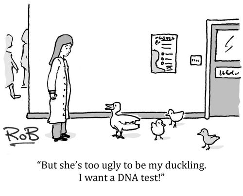 'But she's too ugly to be my duckling. I want a DNA test!'