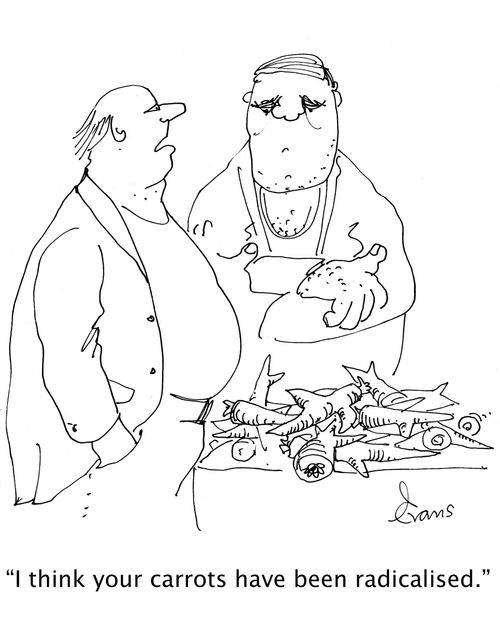 'I think your carrots have bee radicalised.'