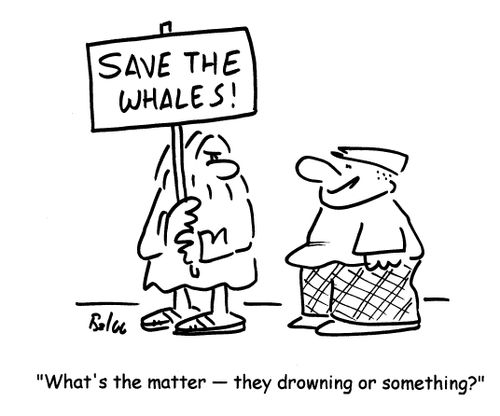 Save the whales - 'What's the matter - they drowning or something?'