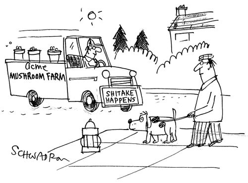 Mushroom Farm truck has bumper sticker reading 'Shitake happens', 
