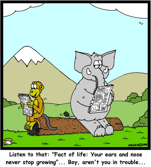 'Listen to that: 'Fact of life: Your ears and nose never stop growing'... Boy, aren't you in trouble...'