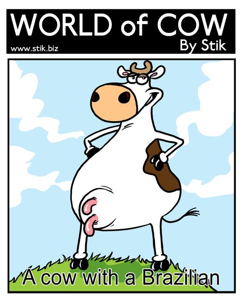 A cow with a Brazilian.